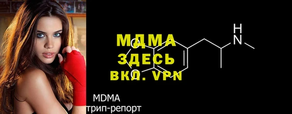 гашик Дмитров