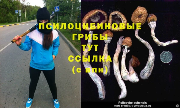 героин Елизово