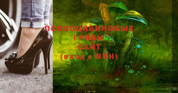 spice Заводоуковск