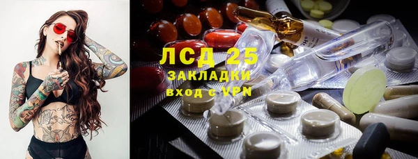 дмт Елабуга
