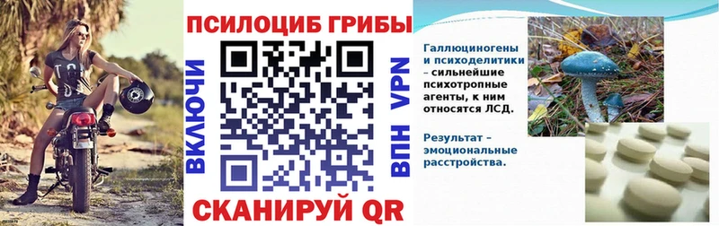 Псилоцибиновые грибы Psilocybe  Купить  Семикаракорск 